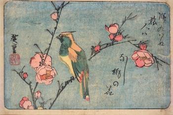Long Tailed Bird and Peach Blossoms by Hiroshige, Woodblock Print