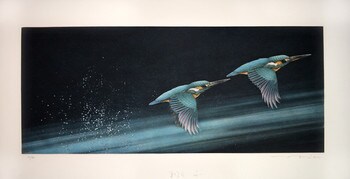 Fly by Ikai, Tadashi, Mezzotint