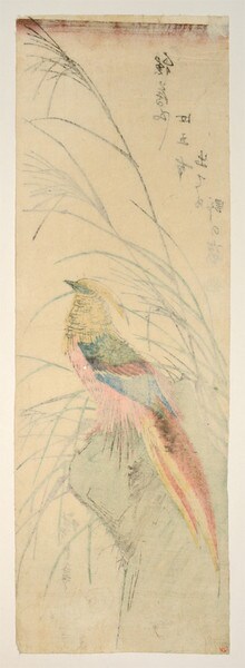 Pheasant in Late Summer by Hiroshige, Woodblock Print