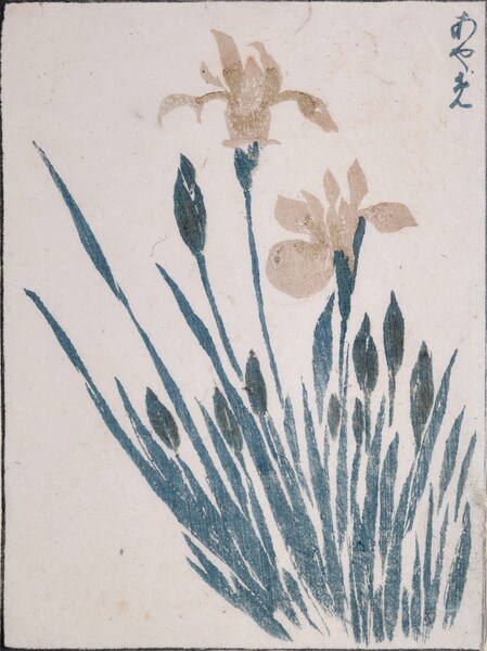 Iris by Unsigned / Unknown Artist, Woodblock Print