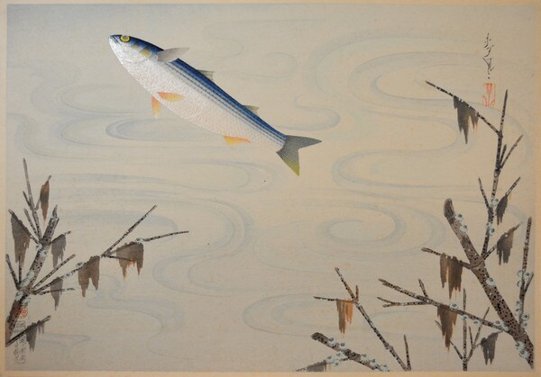 Grey Mullet (Bora) by Bakufu, Woodblock Print