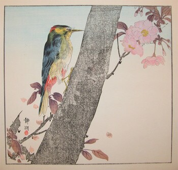 Woodpecker on a Cherry Tree by Seiko, Woodblock Print