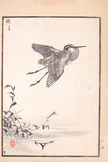 Flight of the Snipe by Bairei, Woodblock Print