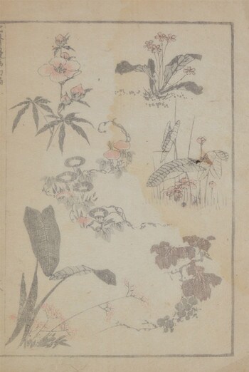 Early Summer Flowers by Hokusai, Woodblock Print
