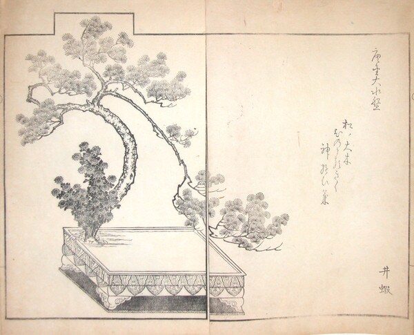 Pine Branch and Chrysanthemums by Unsigned / Unknown Artist, Woodblock Print
