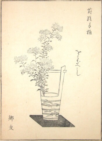Golden Lace by Unsigned / Unknown Artist, Woodblock Print