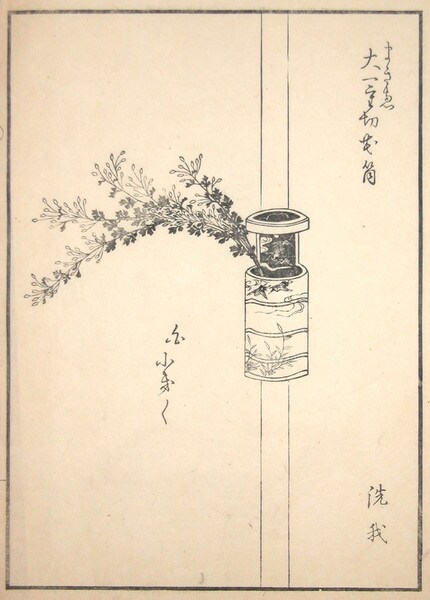 Kogiku Flower by Unsigned / Unknown Artist, Woodblock Print