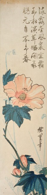 Cotton Rose by Hiroshige, Woodblock Print