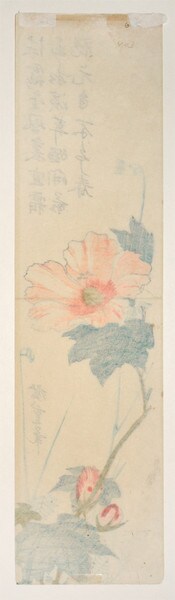 Cotton Rose by Hiroshige, Woodblock Print