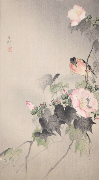 Stonechat and Cotton Rose by Koson, Woodblock Print