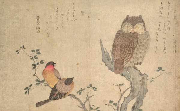 Bullfinch and Scops Owl by Utamaro, Woodblock Print
