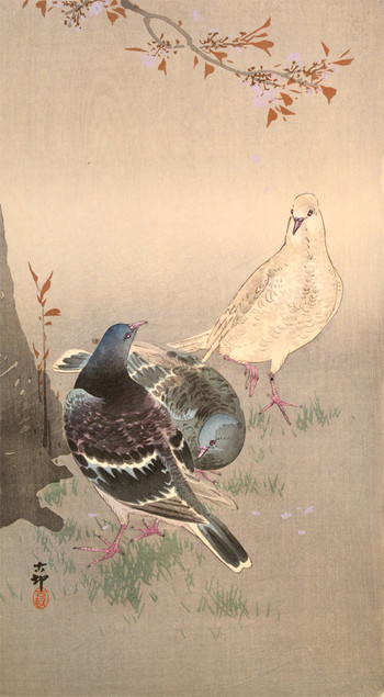 Pigeons and Cherry Blossoms by Koson, Woodblock Print