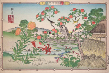Sunflower and Owl by Rinsai, Woodblock Print