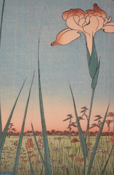 Horikiri Iris Garden by Hiroshige, Woodblock Print