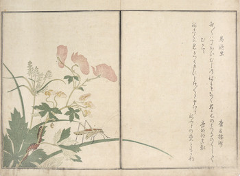 Katydid and Centipede by Utamaro, Woodblock Print