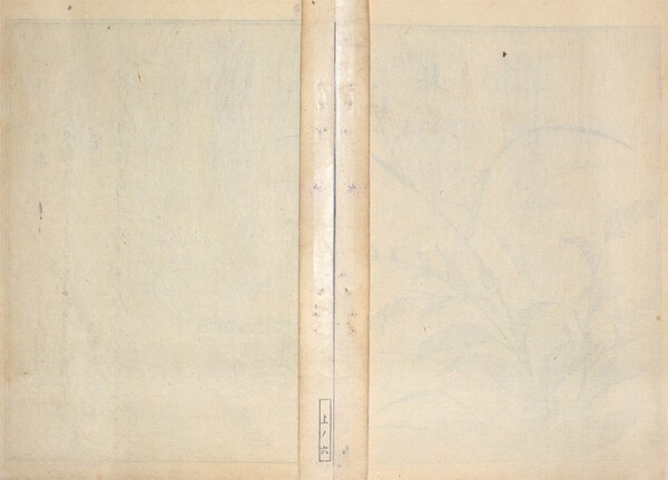 Tree Cricket and Firefly by Utamaro, Woodblock Print