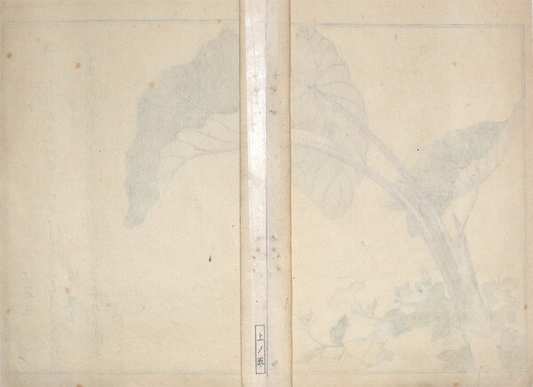 Horsefly and Green Caterpillar by Utamaro, Woodblock Print