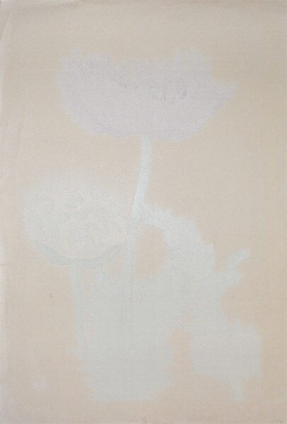 Papven Somniferum (Opium Poppy) by Chigusa, Soun, Woodblock Print