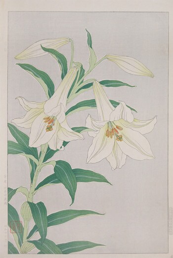 White Lily by Kawarazaki, Shodo, Woodblock Print