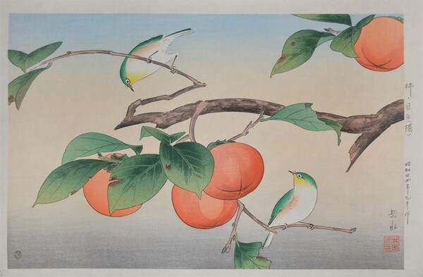 Persimmon and Japanese White Eye (Mejiro) by Ide, Gakusui, Woodblock Print