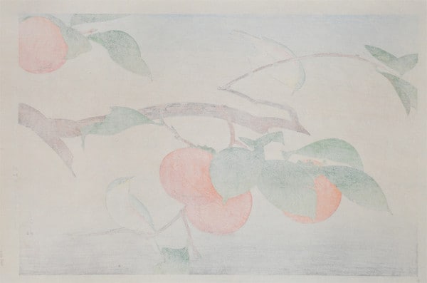 Persimmon and Japanese White Eye (Mejiro) by Ide, Gakusui, Woodblock Print