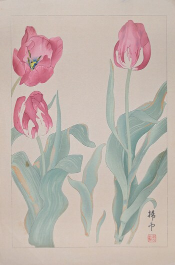 Tulip by Chigusa, Soun, Woodblock Print
