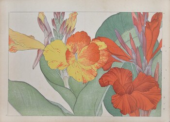 Orange and Yellow Canna Lily by Tanigami, Konan, Woodblock Print