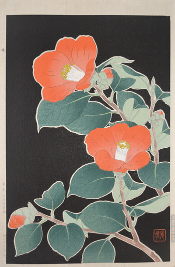 Camellia by Kawarazaki, Shodo, Woodblock Print