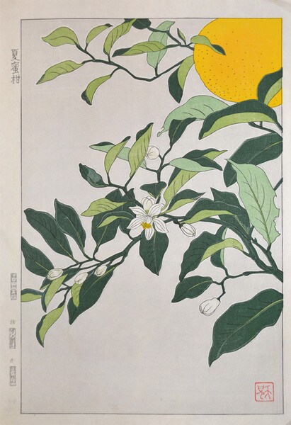 Summer Orange by Kuzuhara, Teru, Woodblock Print