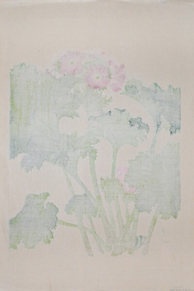Primula Sinensis by Chigusa, Soun, Woodblock Print