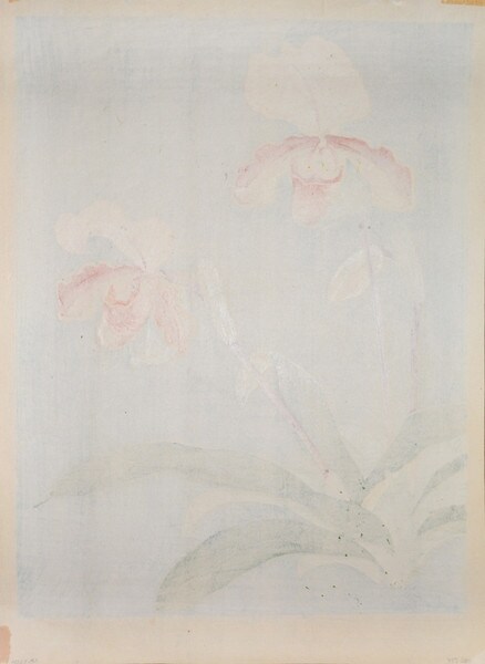 Orchid by Ikeda, Zuigetsu, Woodblock Print