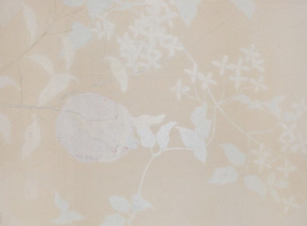 Pomegranate by Murakami, Sadao, Woodblock Print