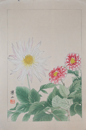 Dahlia by Chigusa, Soun, Woodblock Print