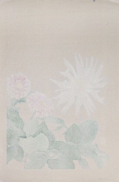 Dahlia by Chigusa, Soun, Woodblock Print