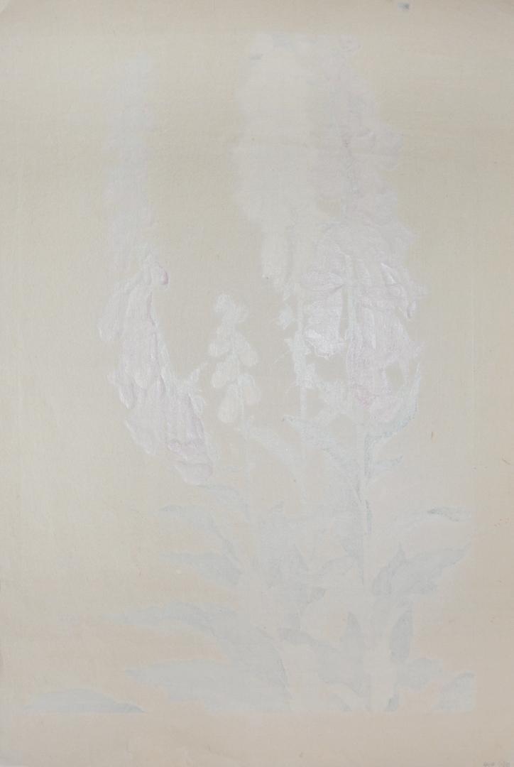 Foxglove | Soun Chigusa | Ronin Gallery