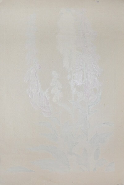 Foxglove by Chigusa, Soun, Woodblock Print