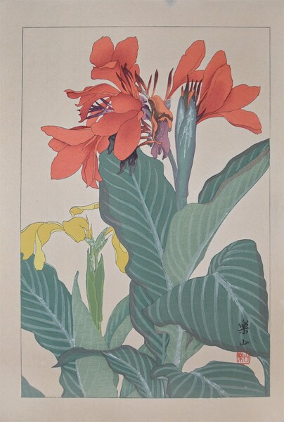 Canna Lily by Chigusa, Soun, Woodblock Print
