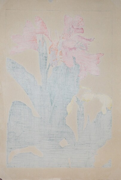 Canna Lily by Chigusa, Soun, Woodblock Print