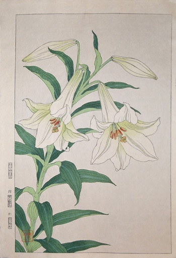 White Lily by Kawarazaki, Shodo, Woodblock Print