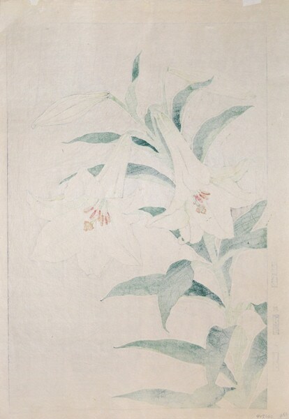 White Lily by Kawarazaki, Shodo, Woodblock Print