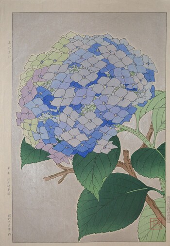 Hydrangea by Kawarazaki, Shodo, Woodblock Print