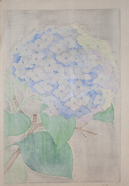 Hydrangea by Kawarazaki, Shodo, Woodblock Print