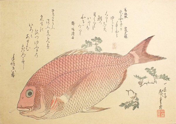 Sea Bream and Sansho Pepper by Hiroshige, Woodblock Print