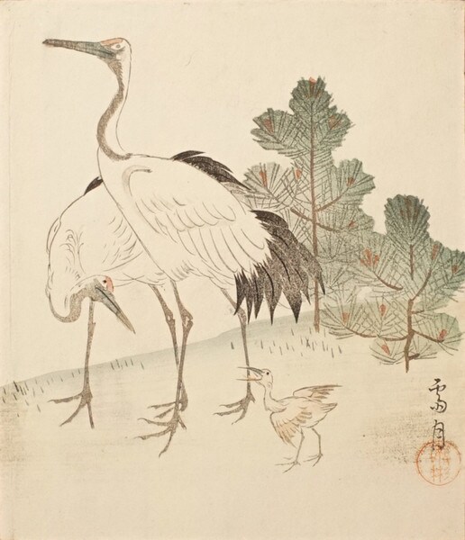 Cranes and Their Young by Saigetsu, Woodblock Print