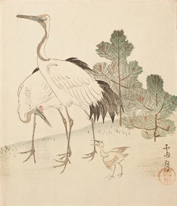 Cranes and Their Young by Saigetsu, Woodblock Print