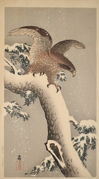 Eagle on Snow Covered Pine Tree by Koson, Woodblock Print