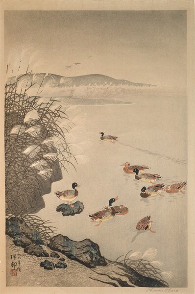 Wild Ducks and Pampas Grass by Shoson, Woodblock Print