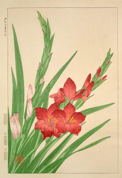 Gladiolous by Kawarazaki, Shodo, Woodblock Print