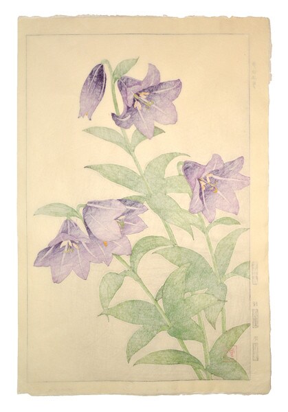 Black Lily by Kawarazaki, Shodo, Woodblock Print