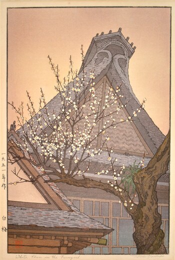 White Plum in the Farmyard by Yoshida, Toshi, Woodblock Print